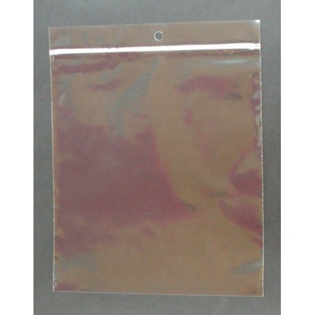 PP Reclosable Zipper Bag 200 x 250/50μm